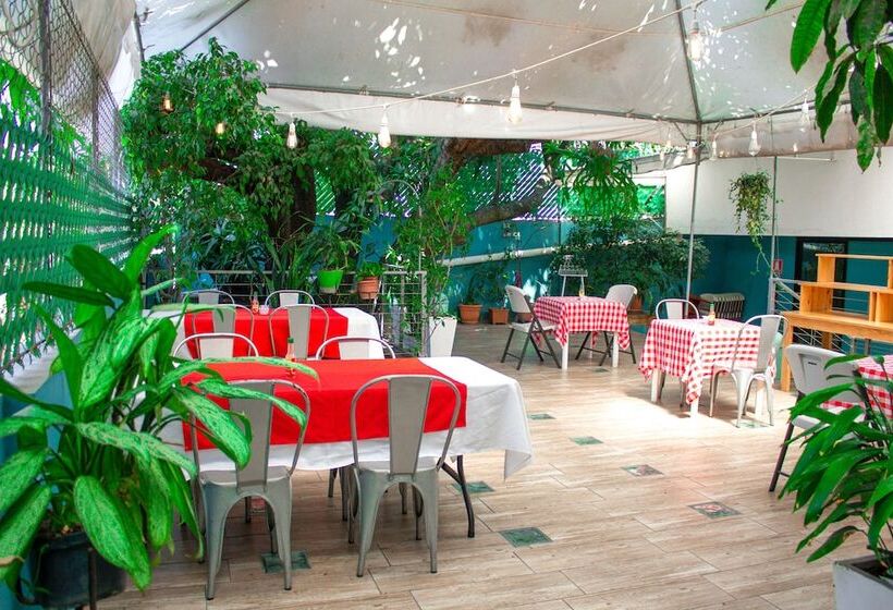 Morrison Hotel San Salvador