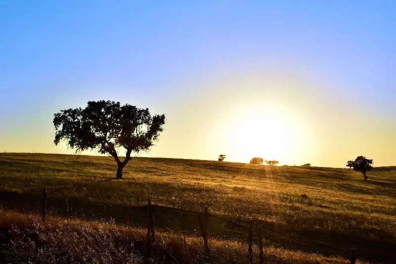 בית מלון כפרי Pousada Castelo De Estremoz