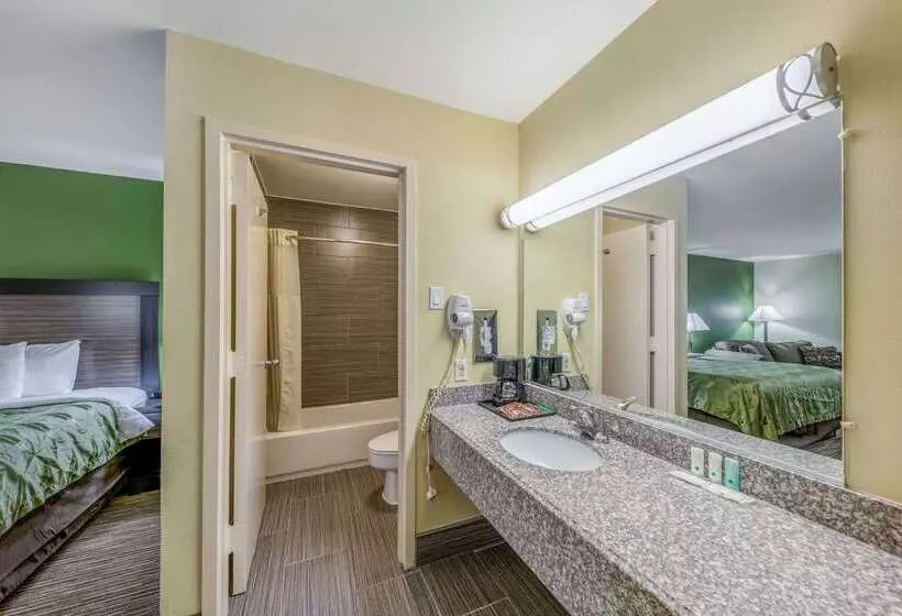 酒店 Quality Inn Gainesville