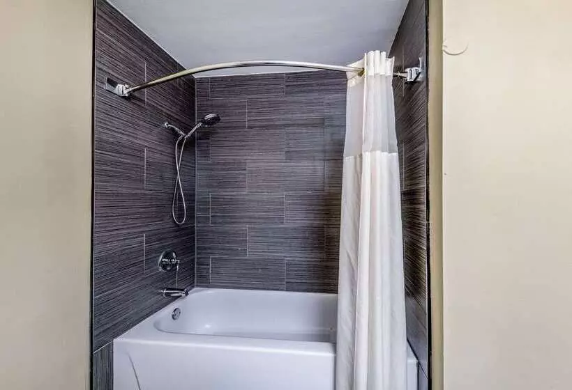 酒店 Quality Inn Gainesville