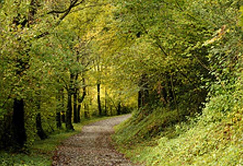 فندق Sant Quirze De Besora