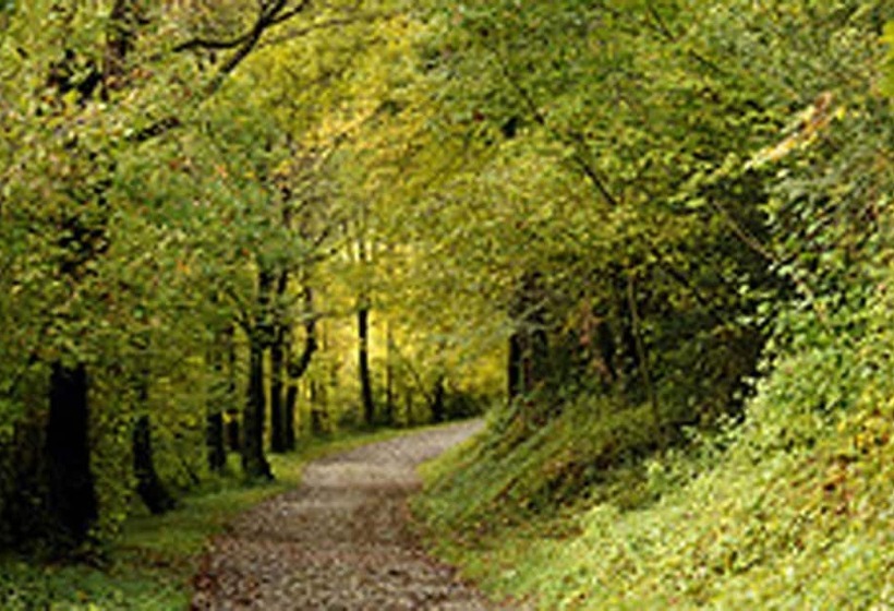 فندق Sant Quirze De Besora