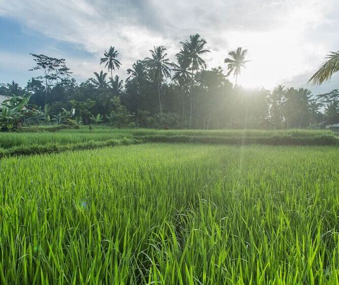 Ubud Luwih Villa