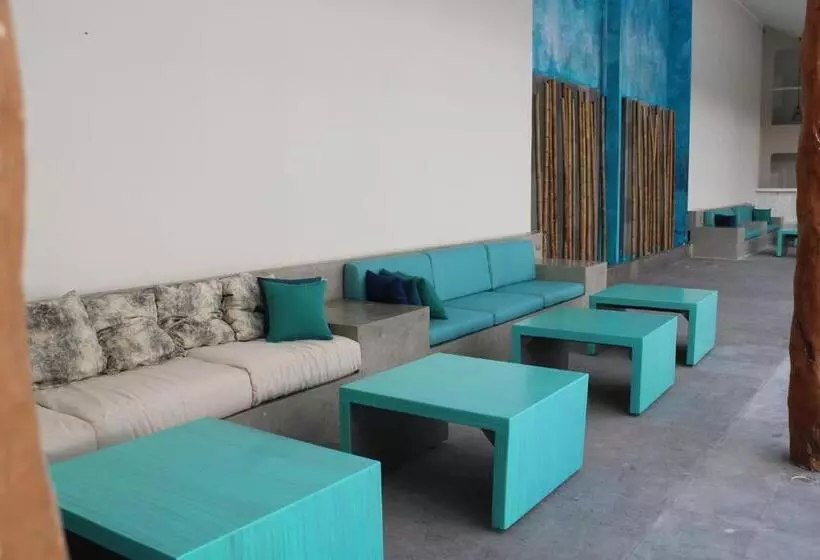 酒店 Cyan Cancun Resort & Spa