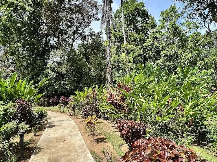 ホテル La Foresta Nature Resort