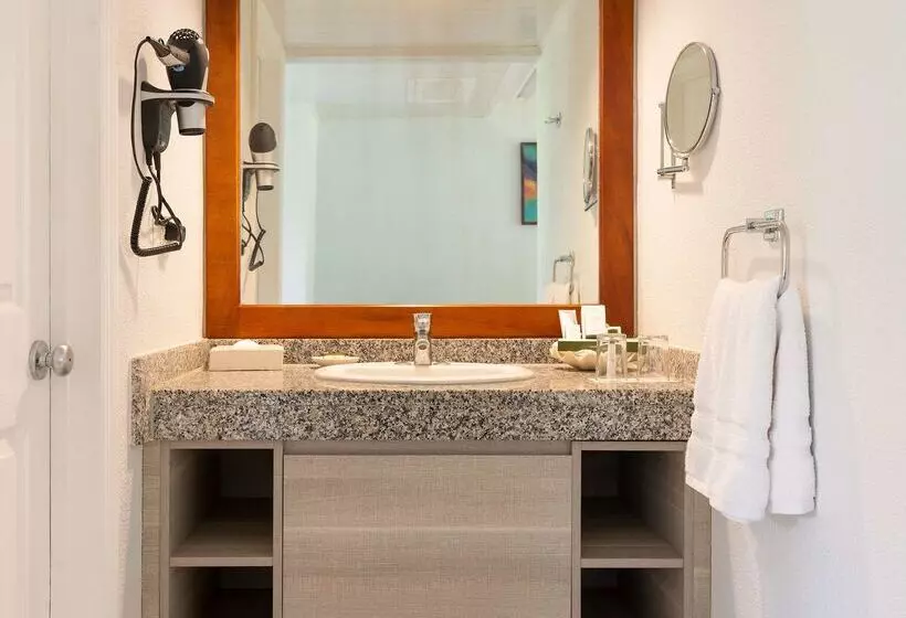 호텔 Occidental Tamarindo All Inclusive