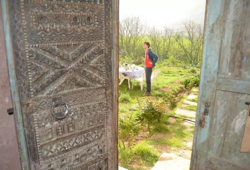 Bed and Breakfast Maison D'hôtes Dar Afra