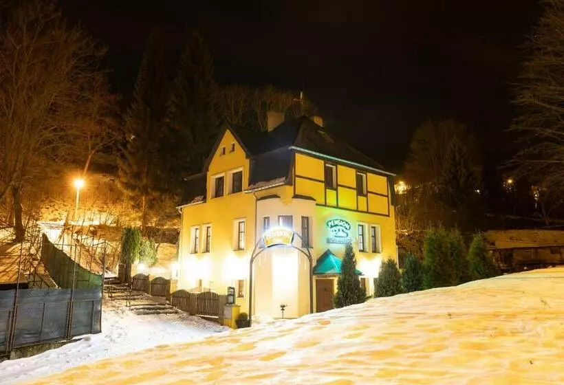 Pension Robin