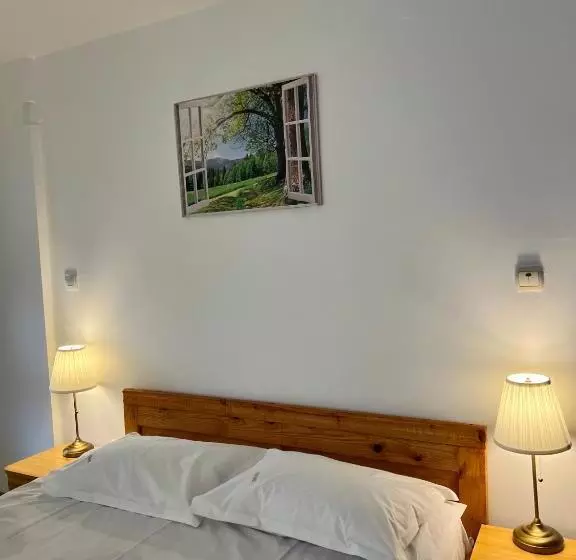 ペンション Vila Brad