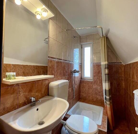 پانسیون Vila Brad