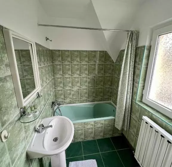 ペンション Vila Brad