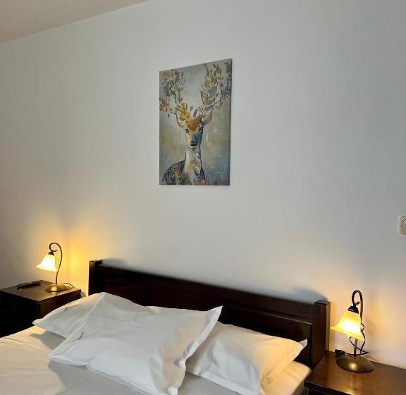 پانسیون Vila Brad