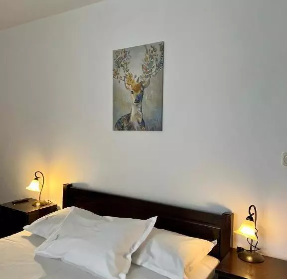 ペンション Vila Brad