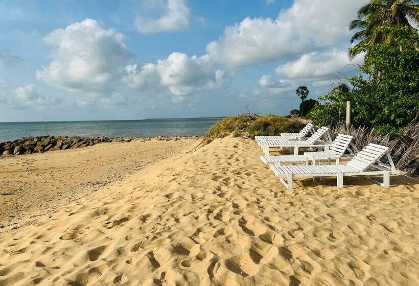 Windy Waves Kite Beach & Nature Resort