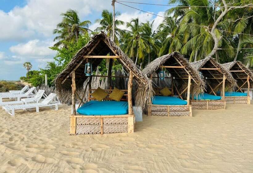 Windy Waves Kite Beach & Nature Resort