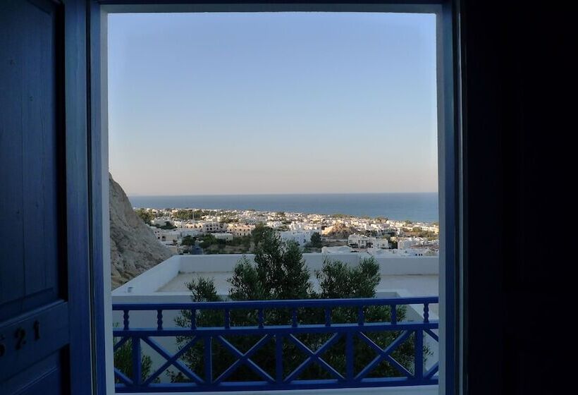 Hotel Aegean View