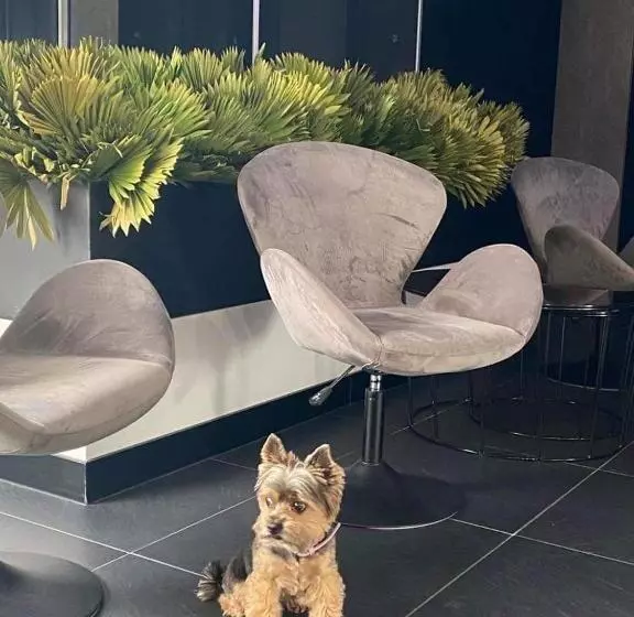 בית מלון כפרי Central