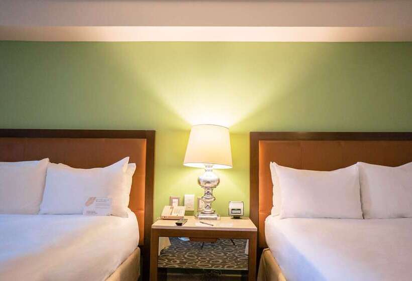 בית מלון כפרי Emporio Zacatecas