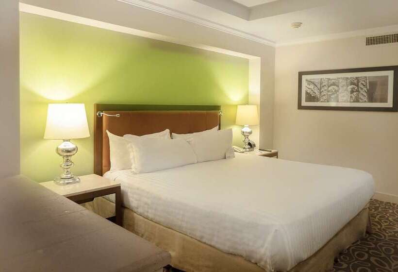 בית מלון כפרי Emporio Zacatecas