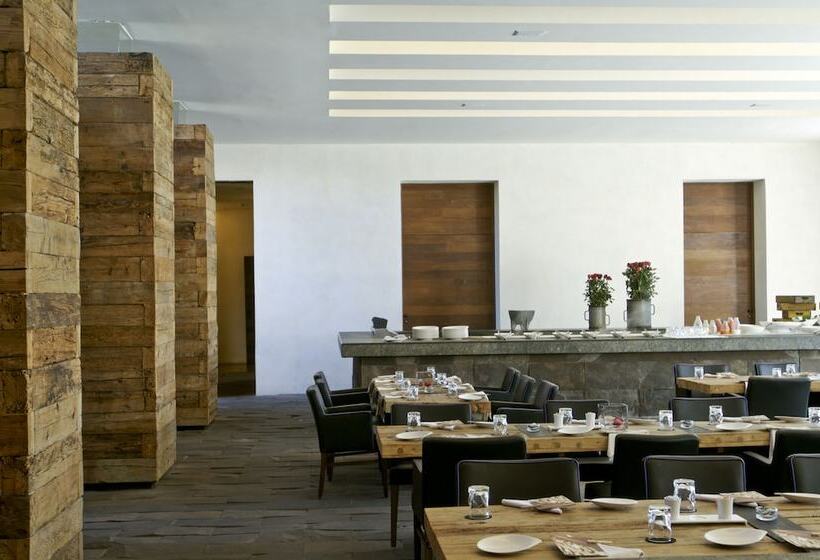 La Purificadora, Puebla, A Member Of Design Hotels