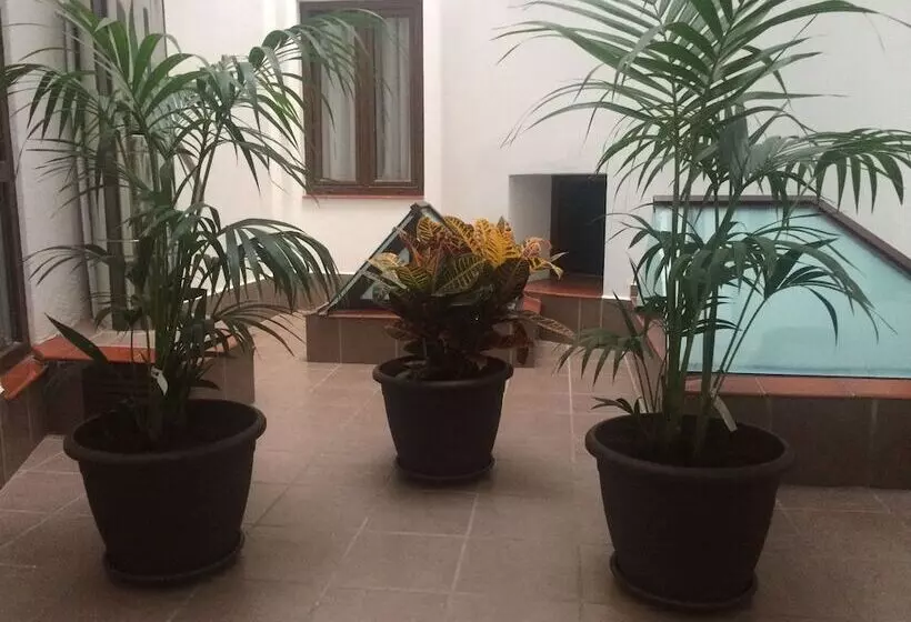 هتل Castilla Guerrero