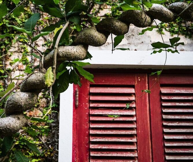 בית מלון כפרי Kao Mai Lanna Resort