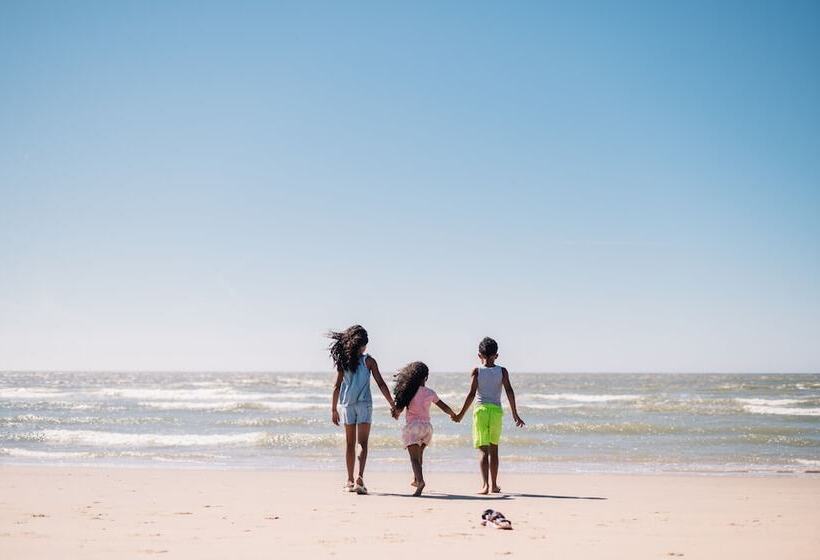 ホテル Stayokay Hostel Texel