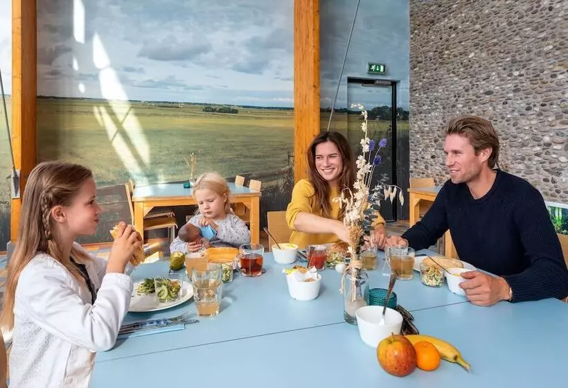 هتل Stayokay Hostel Texel