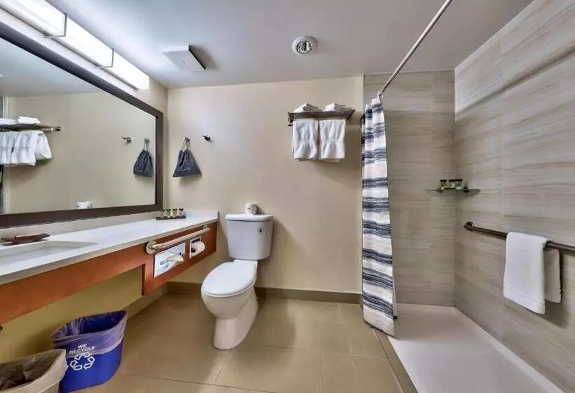 בית מלון כפרי Sun Peaks Lodge