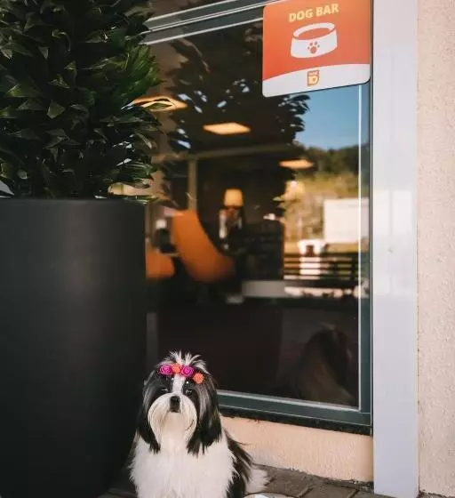 Otel 10 Itajai/navegantes