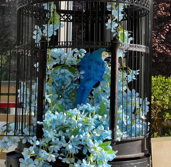 בית מלון כפרי Ardea