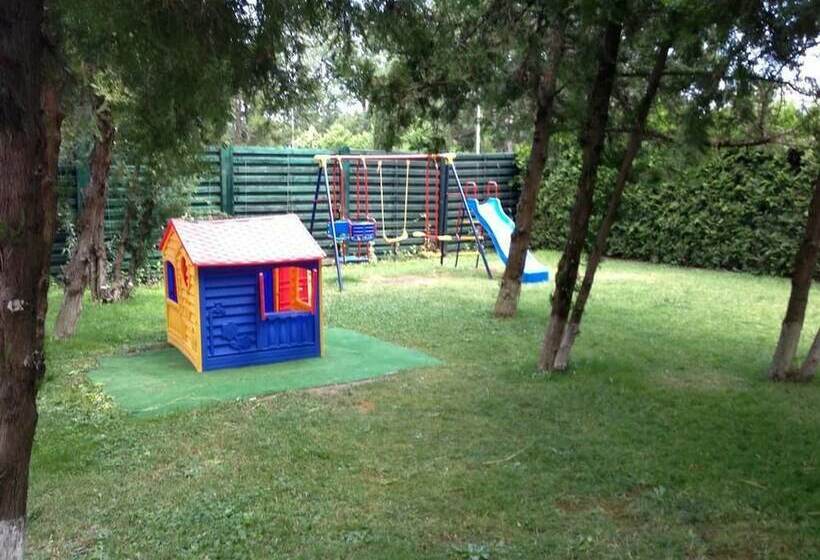 Flamingo Hotel Sunny Beach