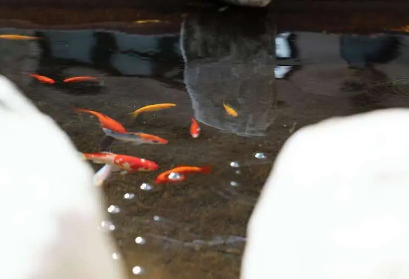 Hotelli Joivy Together Florence Urban Resort