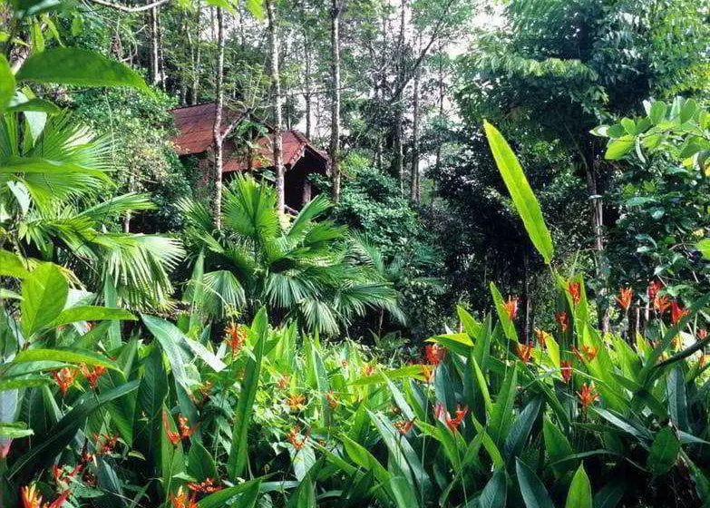 Отель Kuraburi Greenview Resort