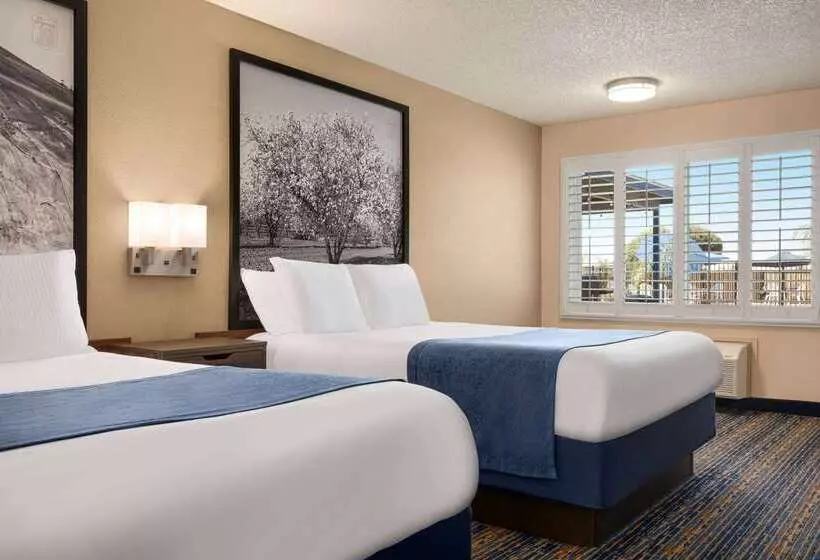 汽车旅馆  Super 8 By Wyndham Lindsay Olive Tree