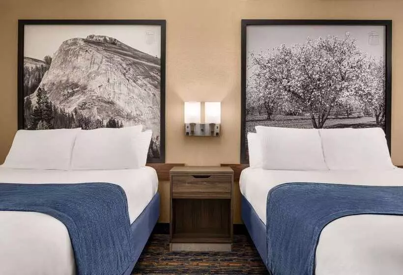 汽车旅馆  Super 8 By Wyndham Lindsay Olive Tree