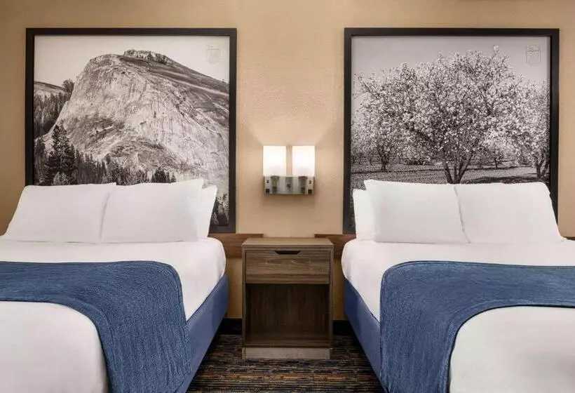 汽车旅馆  Super 8 By Wyndham Lindsay Olive Tree