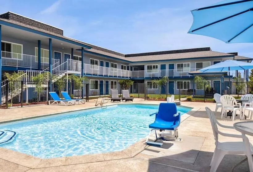 汽车旅馆  Super 8 By Wyndham Lindsay Olive Tree