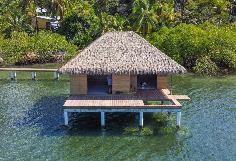 تختخواب و صبحانه Sol Bungalows Bocas Del Toro
