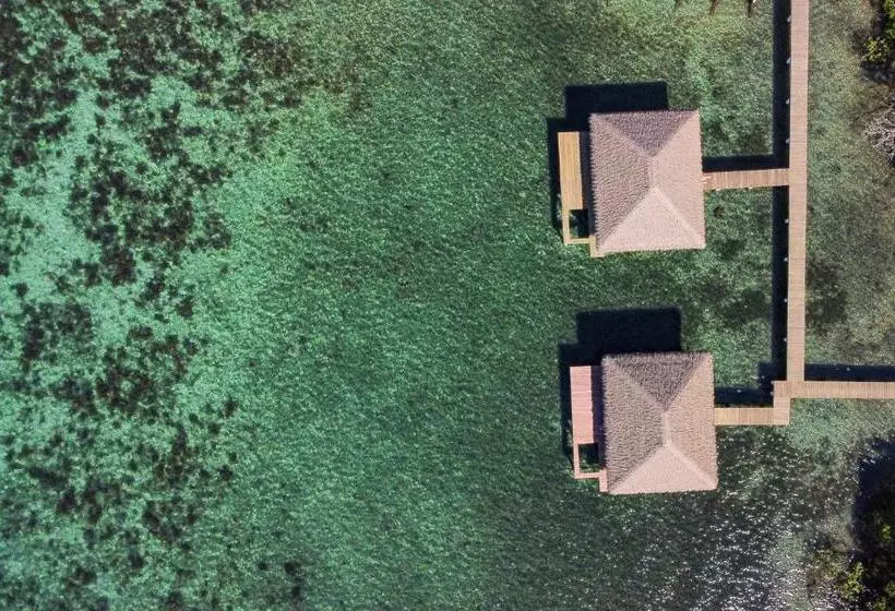 تختخواب و صبحانه Sol Bungalows Bocas Del Toro