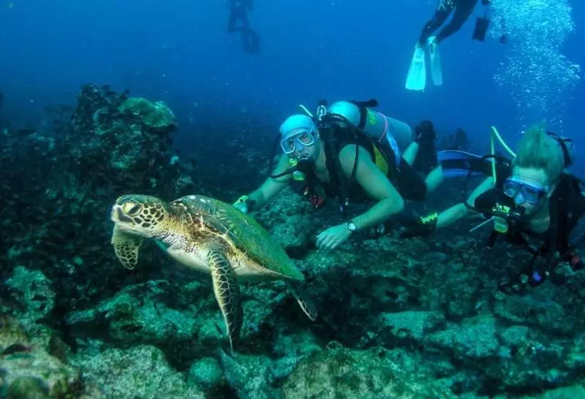 تختخواب و صبحانه Sol Bungalows Bocas Del Toro