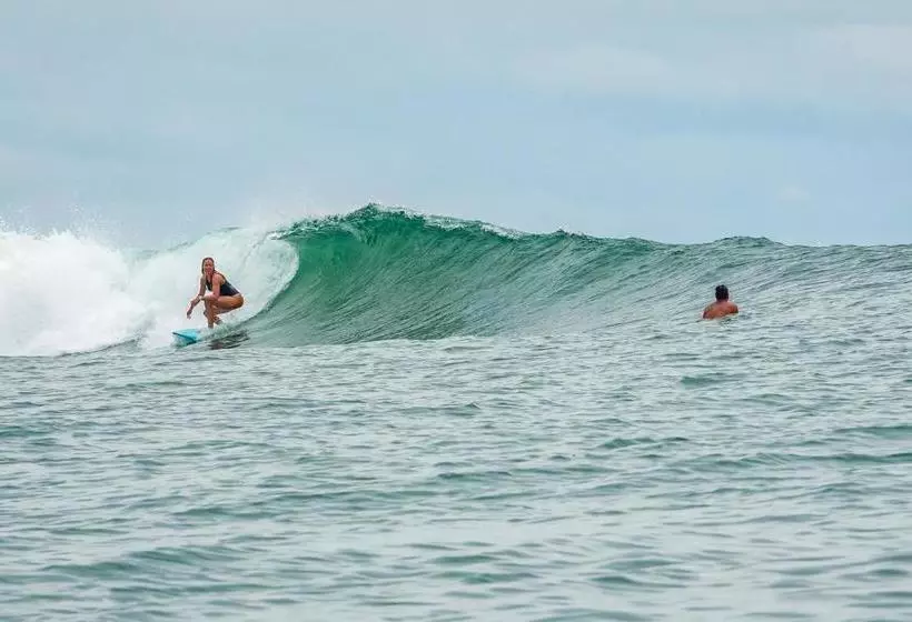 تختخواب و صبحانه Sol Bungalows Bocas Del Toro