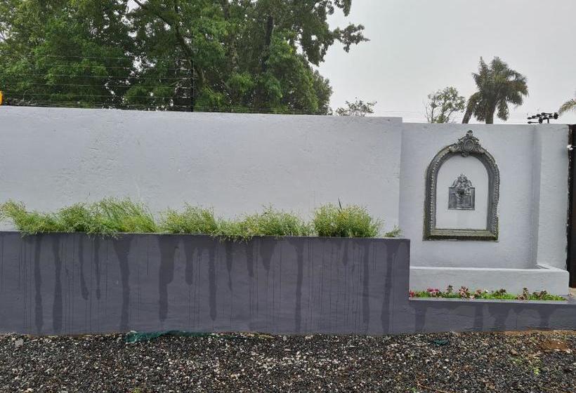 Mosswood Bed & Breakfast