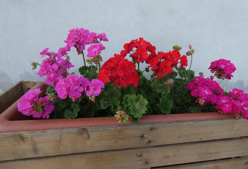 ホテル Agriturismo Il Fontanile