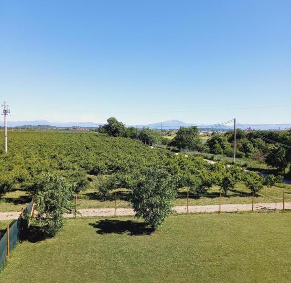 ホテル Agriturismo Il Fontanile