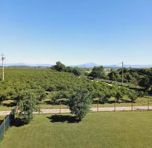 ホテル Agriturismo Il Fontanile