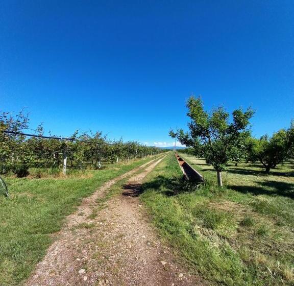 ホテル Agriturismo Il Fontanile