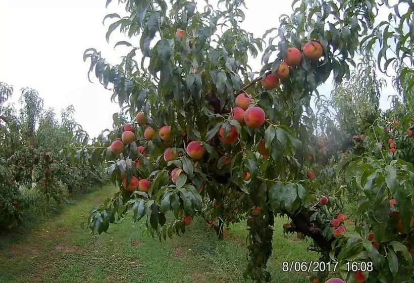 ホテル Agriturismo Il Fontanile