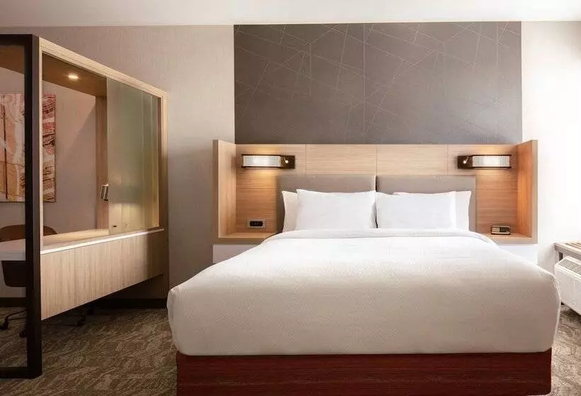 ホテル Springhill Suites By Marriott Ames