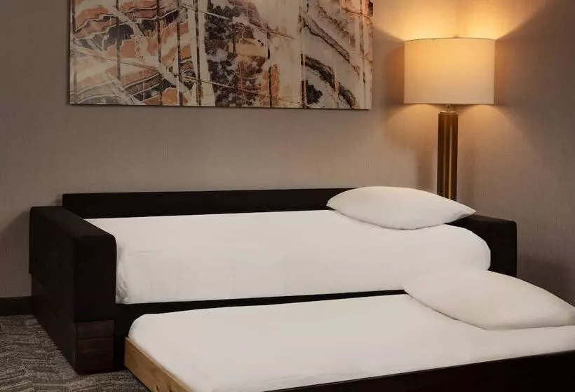 ホテル Springhill Suites By Marriott Ames